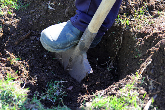 excavation method