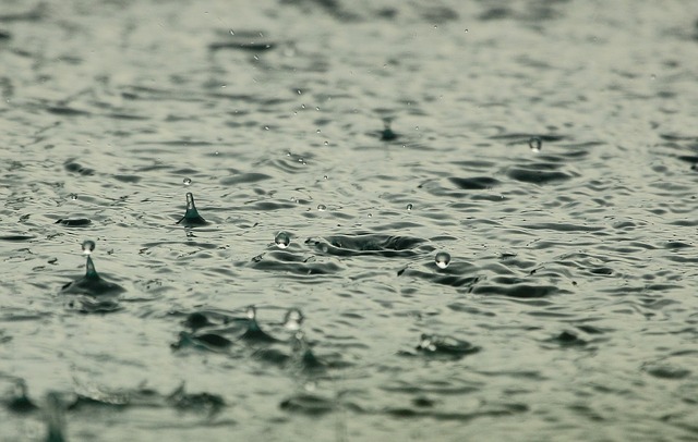 harvested rainwater